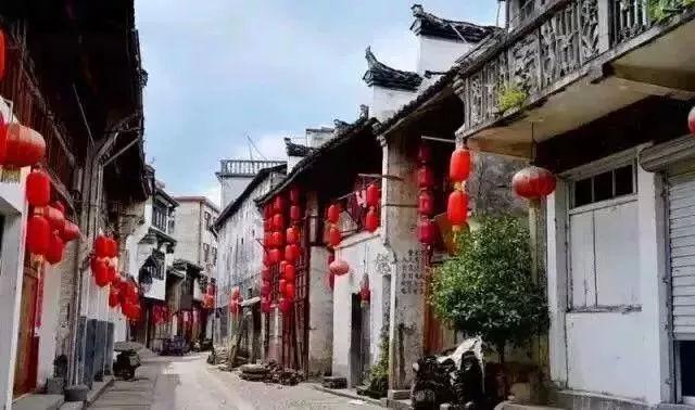 昆明动物园猫咪的麻木与受惊吓有关